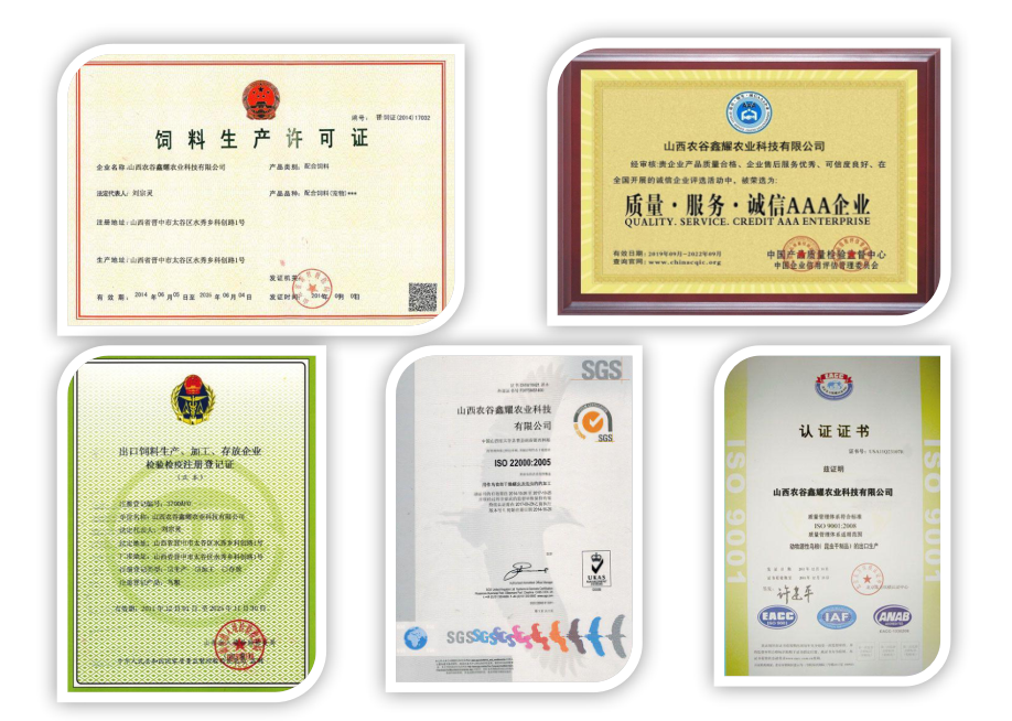 极速截图202110251338.png