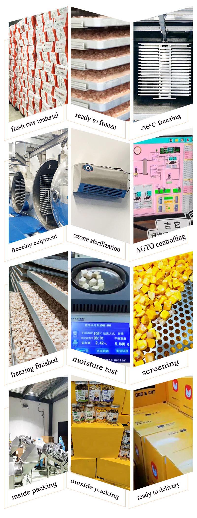 factory processing.jpg