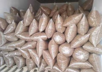 STOCKED BULK  DRIED MEALWORMS
