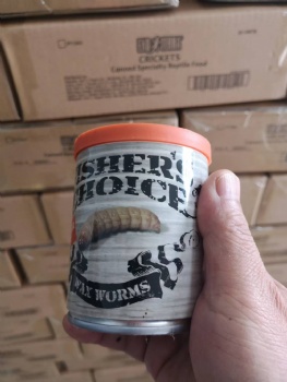 CANNED WAX WORMS
