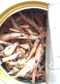 CANNED FROZEN SHRIMP