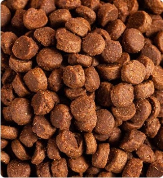 CAT FOOD