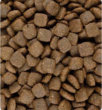 WHOLE SALE CAT FOOD