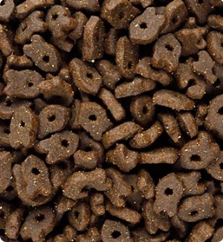 CHINA CAT FOOD