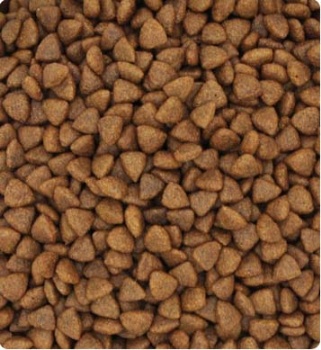 PET FOOD FOR ADULT DOG