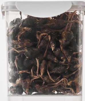 LYOPHILIZED QUAIL FOR DOG AND CAT