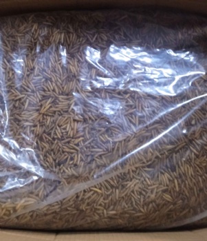 10kg DRIED BLACK SOLDIER FLY LARVAE