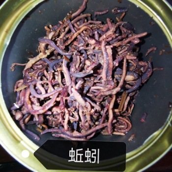 CANNED EARTHWORM