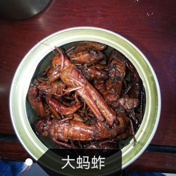 CANNED GRASSHOPPER