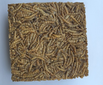 DRIED MEALWORMS BIRD CAKE
