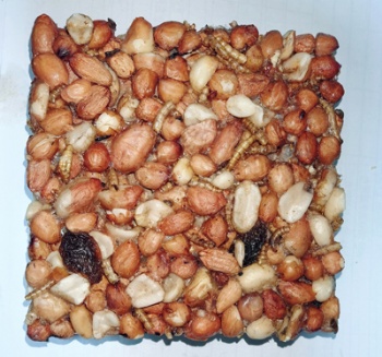 BIRD SEEDS CAKE